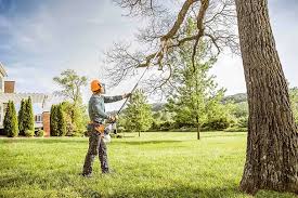 Best Tree Risk Assessment  in Fowler, CO